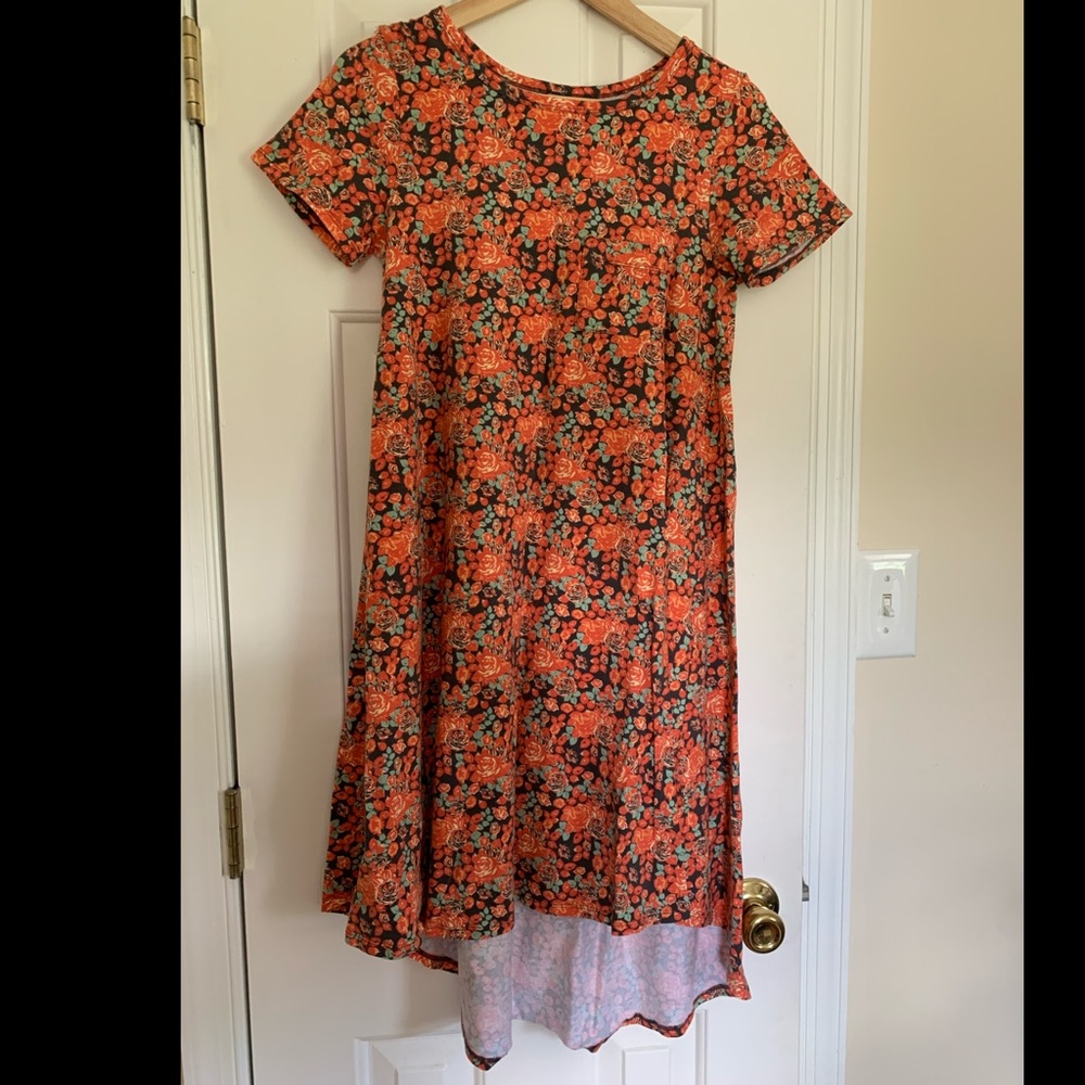 LuLaRoe Carly Dress
